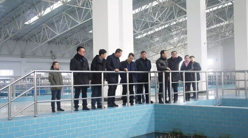 集團(tuán)總經(jīng)理王爽一行開(kāi)展節(jié)日慰問(wèn)與工作指導(dǎo)